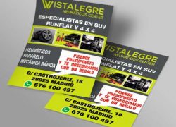 flyer Vistalegre